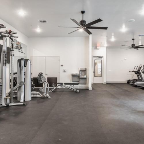 Apartment Luxury In Ybor W/pool Access
